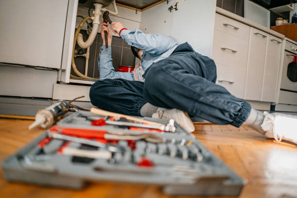 Best Residential Plumbing Services  in Cypress Gardens, FL