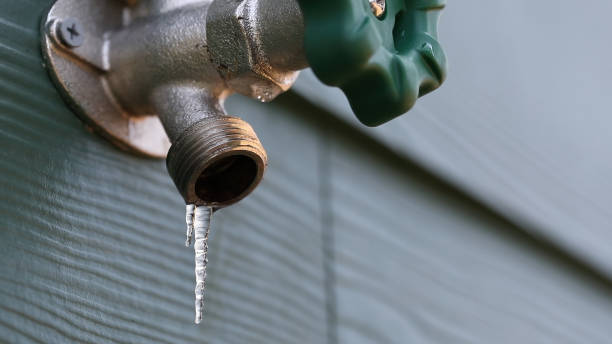  Cypress Gardens, FL Plumbing Pros
